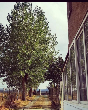 Agradable casa con jardín: Casasola